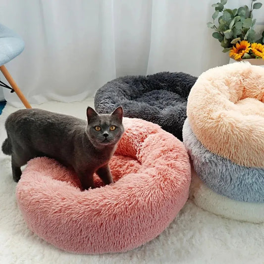 Round Beds