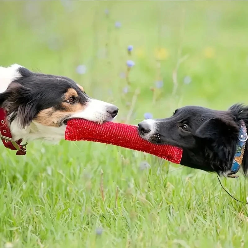 Dog Tug Toy