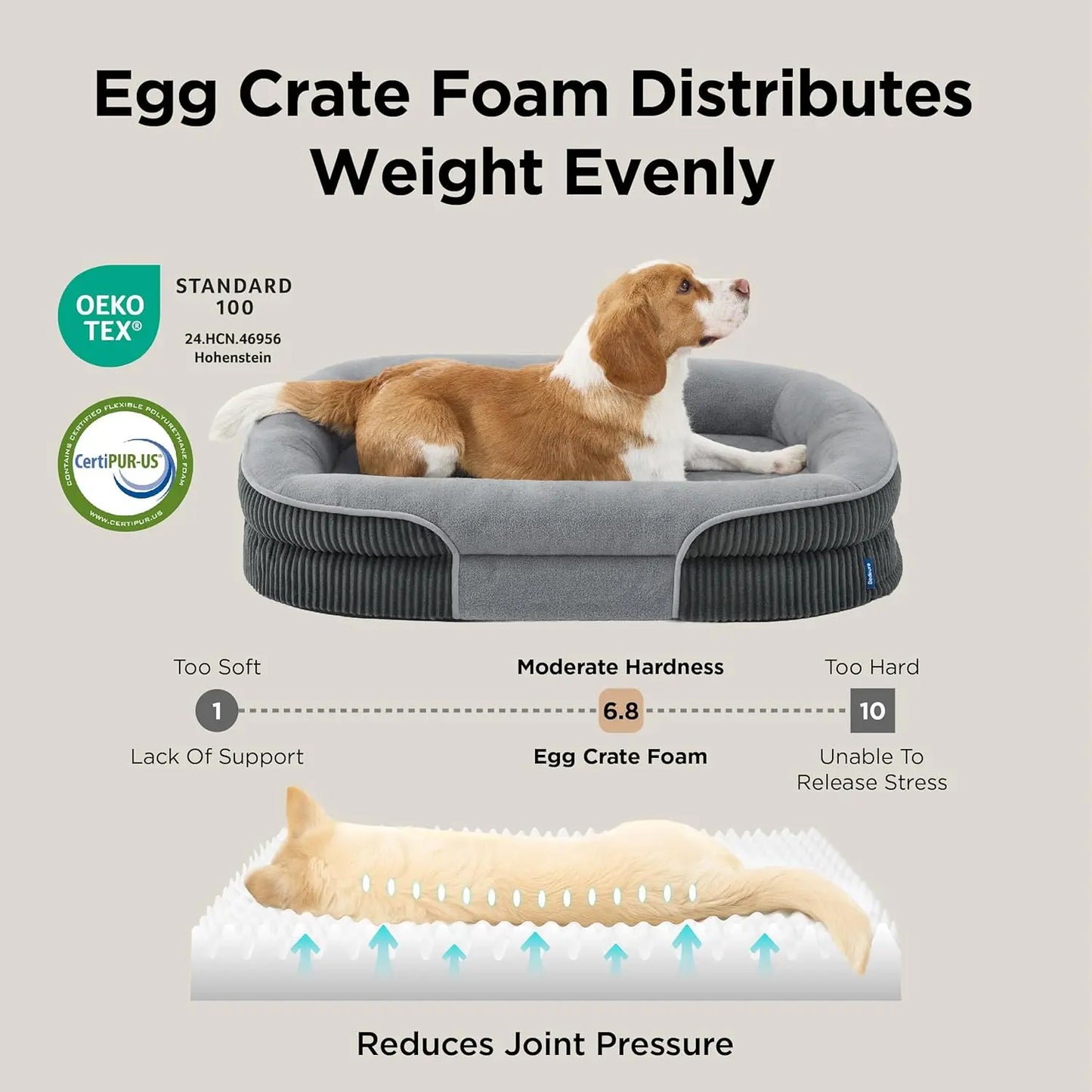 Orthopedic Dog Beds