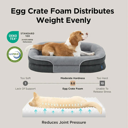 Orthopedic Dog Beds