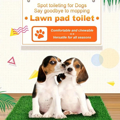 Premium Washable Dog Training Ma