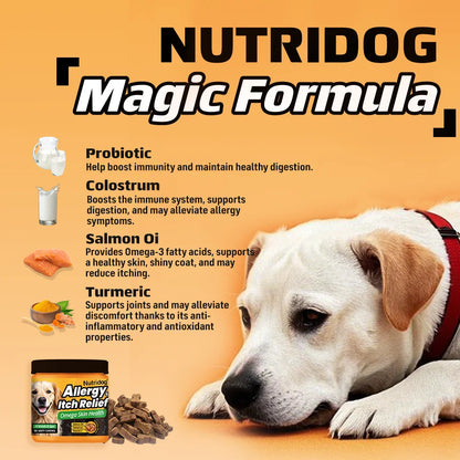 NUTRIDOG Dog Allergy Itch Relief Chews