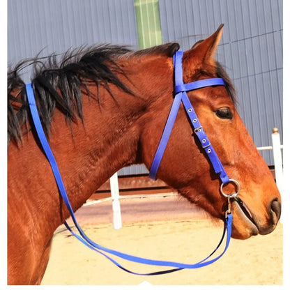 Riding Bridle Reins with Standard Thread Plate