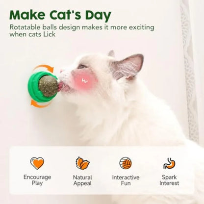 Catnip Toys Balls 4 Pcs