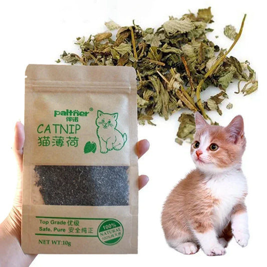 Natural Premium Catnip