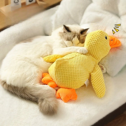 Duck dog toy