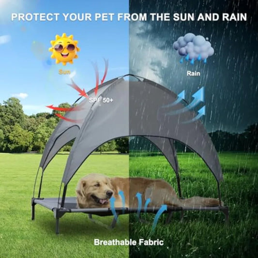 Elevated Dog Bed with Canopy
