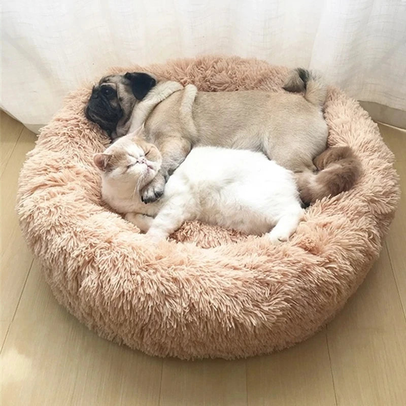 Round Beds