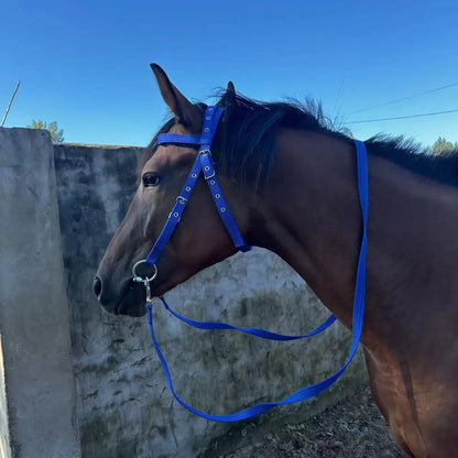 Horse Bridle Harness Set