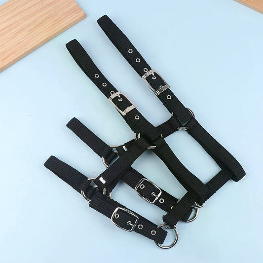 Adjustable Nylon Webbing Equestrian Western Horse Halter
