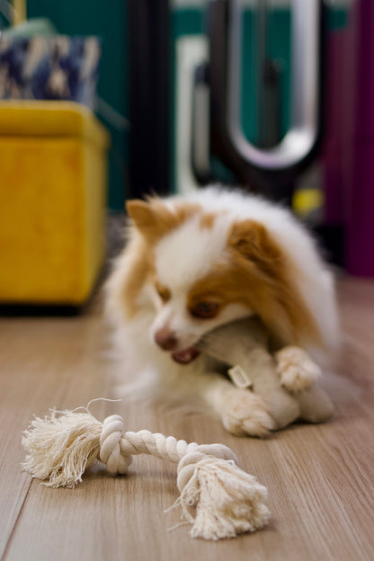 Boba & Vespa Natural Dog Toy Bundle for Cuddles, Fetch and Tugging - Small to Large Dogs Options