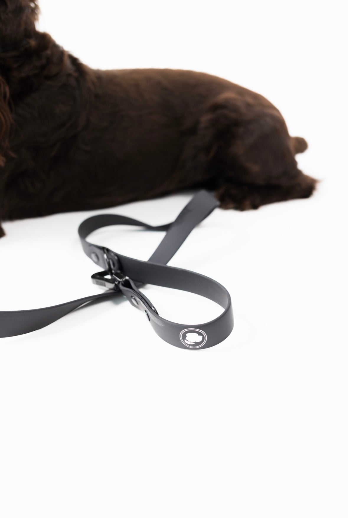 The Modern Dog Company - Better in Black Leash